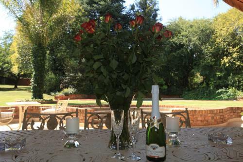 Bed & Breakfast Andante Lodge