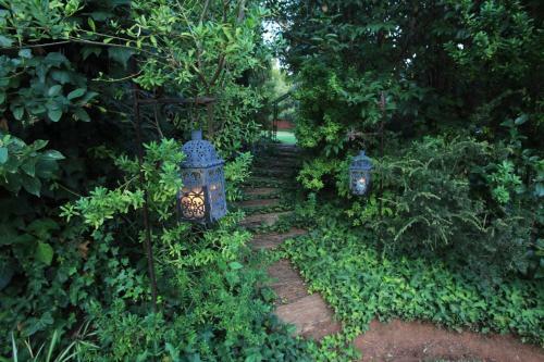 Bed & Breakfast Andante Lodge