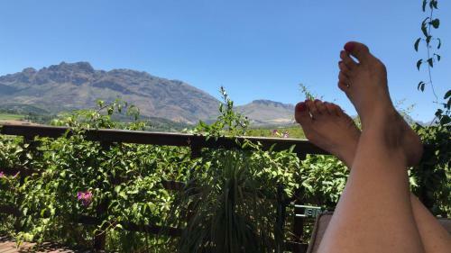 Agroturismo Wellington Country House