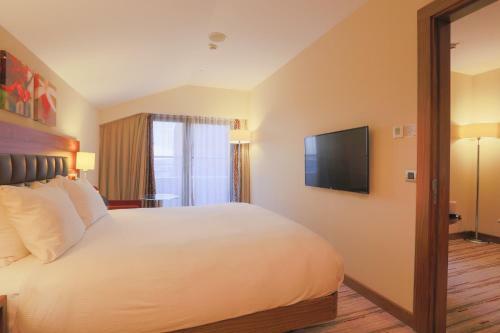 Hotel Hilton Garden Inn Eskisehir