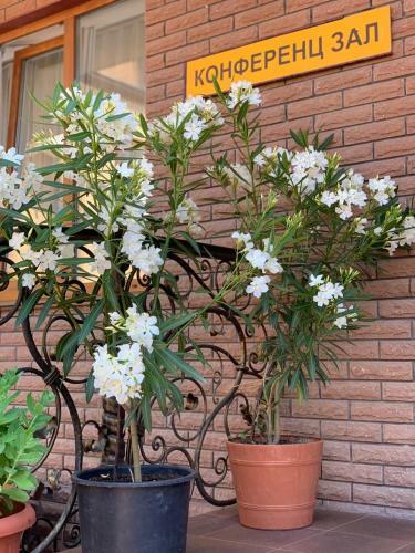 Hostal Zatyshok