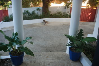 Apartamento E&j Boutique Residences