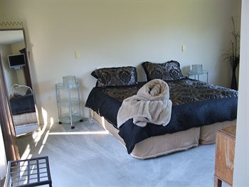 Bed & Breakfast Vibrant Living Retreat
