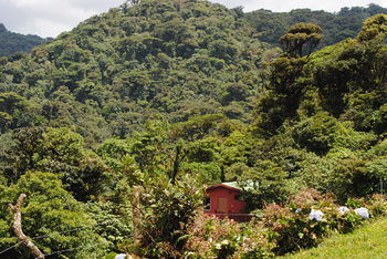 Posada Vista Verde Lodge