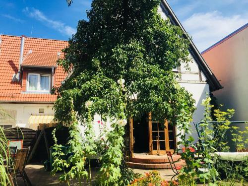 Hostal Antik - Pension Birnbom