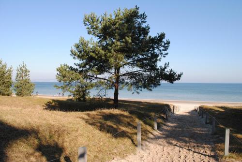 Apartamento Villa Saxonia - Appartment 8
