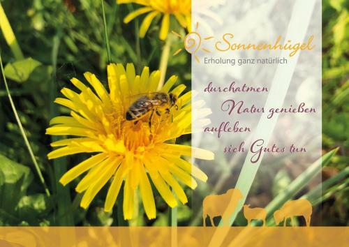 Sonnenh�gel Hotel & Ferienwohnungen