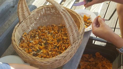 Apartamento Rieserhof