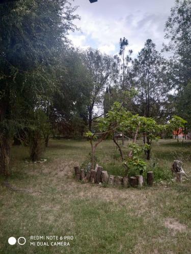 Lodge Caba�as Sem