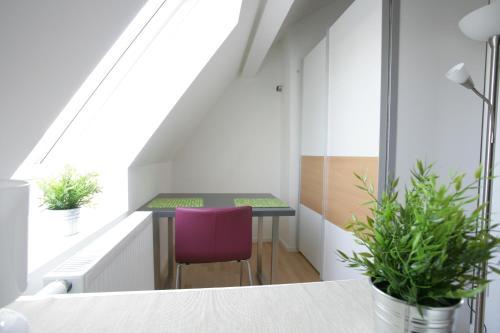 City Apartment Karlsruhe Inner City