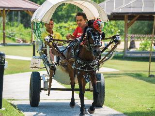 Hotel Nirwana Beach Club