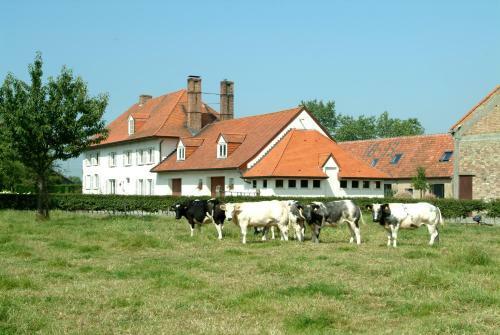 Holiday Home De Colve