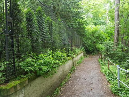 Hostal Helenental Pension & Apartments