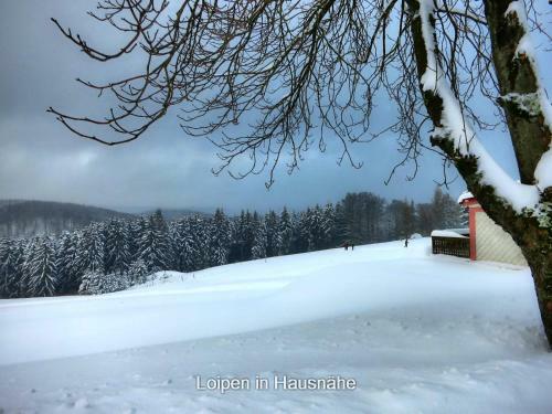 Apartamento Wanderunterkunft In Frauenwald