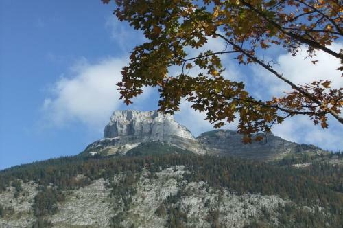 Bed & Breakfast Pension Alpenhof