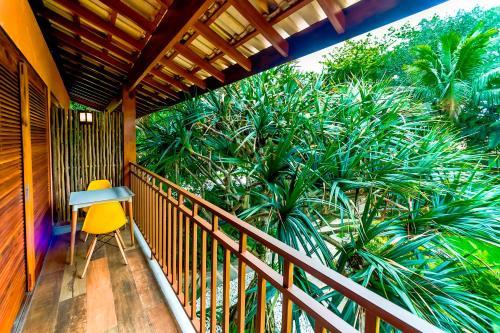 Hostal Pousada Jamboo