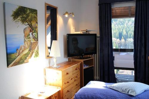 Hostal Hotel-pension Thom�