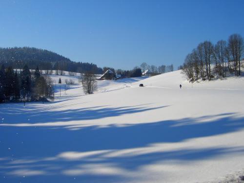 Hostal Hotel-pension Thom�