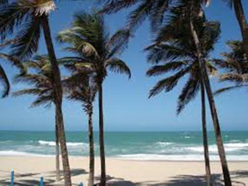 Apartamento Golfinhos