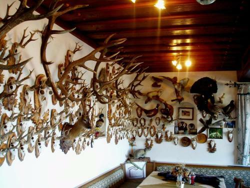 Hostal Innviertler Berggasthof