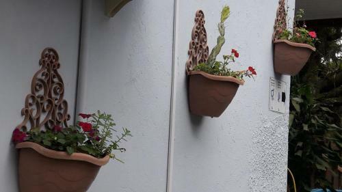 Hostal Bistr� & Hospedagem Ilha Do Mel