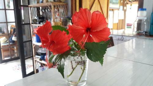 Hostal Bistr� & Hospedagem Ilha Do Mel