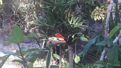 Hostal Bistr� & Hospedagem Ilha Do Mel