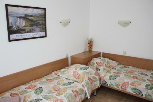 Hotel Radik