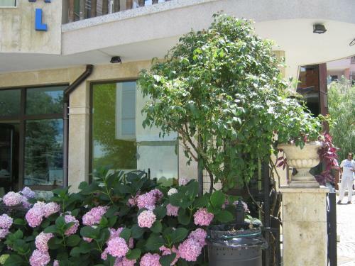 Hotel Continental - Half Board