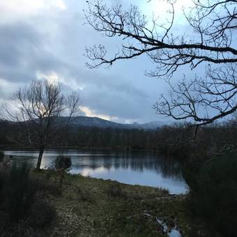 Ver fotos