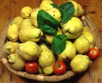 I Casaloni