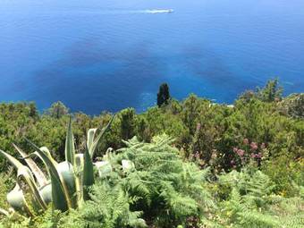Bed & Breakfast Il Casale Del Giglio