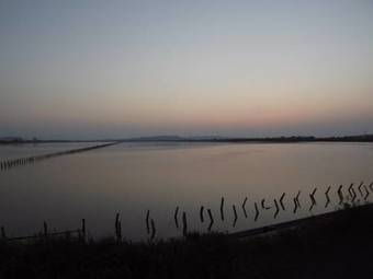 Maresole A Capitana