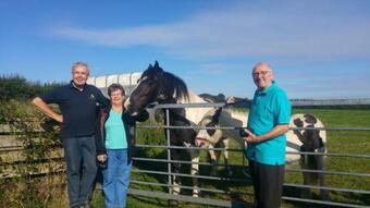 Bed & Breakfast Brampton Dales Farm