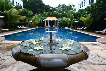 Ver fotos