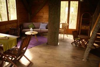 Bed & Breakfast Le Ch�ne Perch�