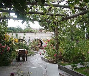 Ver fotos
