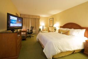 Hotel Hilton Garden Inn San Francisco Arpt North
