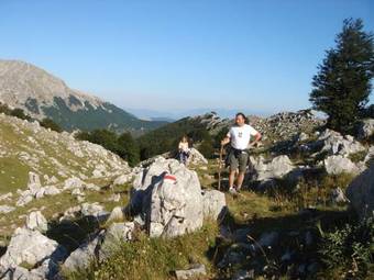 Bed & Breakfast La Pinetina