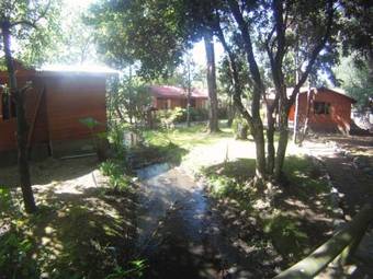 Ver fotos