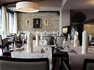 Parkhotel Schloss H�nigen