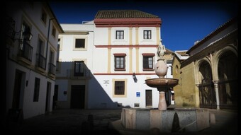 Ver fotos