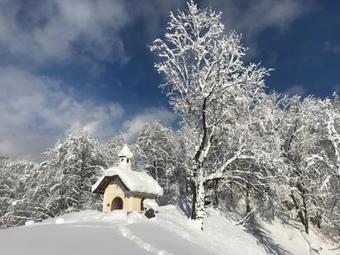 Ver fotos