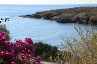 Apartamento Agerino