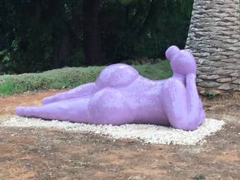 Ver fotos
