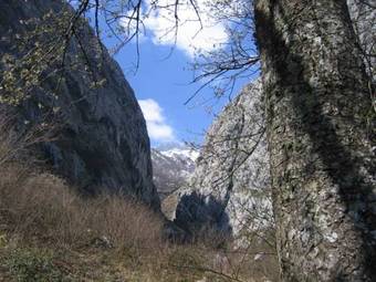 La Xiana