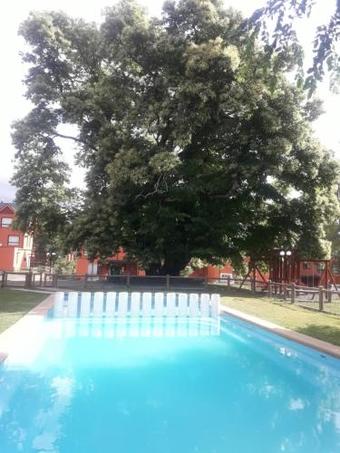 Ver fotos