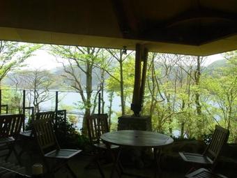 Ver fotos