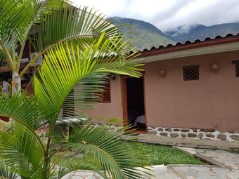 Vip Jungle Lodge