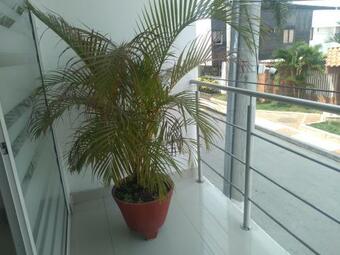 Hotel Light Plaza
